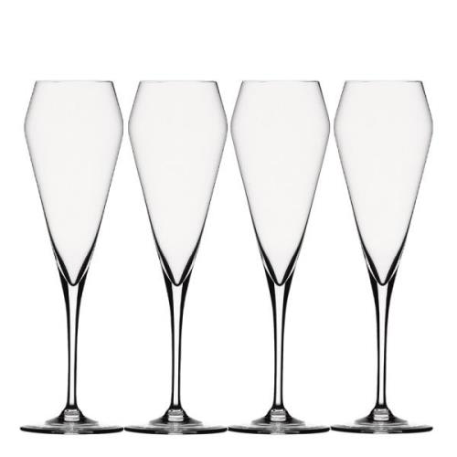 Spiegelau - Willsberger Anniversari Champagneglas 24 cl 4-pack