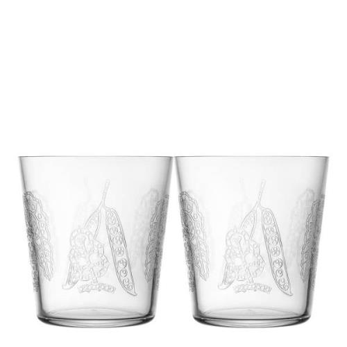 iittala - Taika Sato Glas 38 cl 2-pack Klar