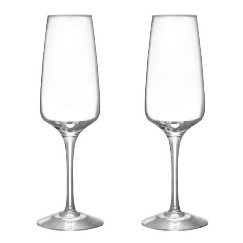 Orrefors - Pulse Champagneglas 28 cl 2-pack
