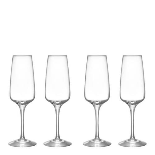 Orrefors - Pulse Champagneglas 28 cl 4-pack