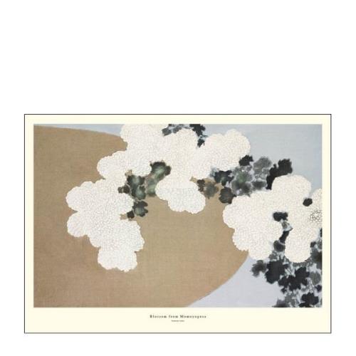 Poster & Frame - A.P. Atelier poster 50x70 cm blossom from momoyogusa