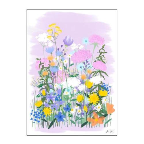 Poster & Frame - Anna Thomsen poster 50x70 cm field of flowers no2