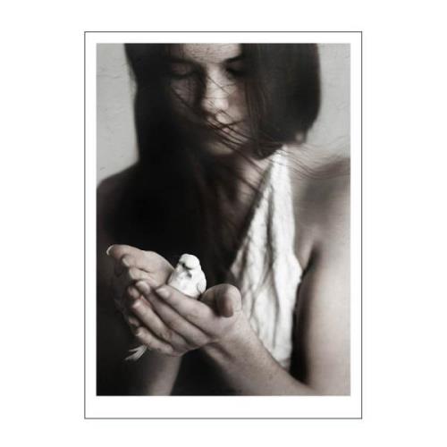 Poster & Frame - Ingrey Studio poster 30x40 cm girl & bird