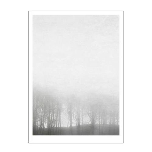 Poster & Frame - Ingrey Studio poster 30x40 cm morning fog