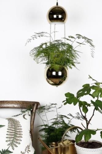 Globen Lighting - Fönsterlampa Planter - Mässing - Fönsterlampor - Frå...