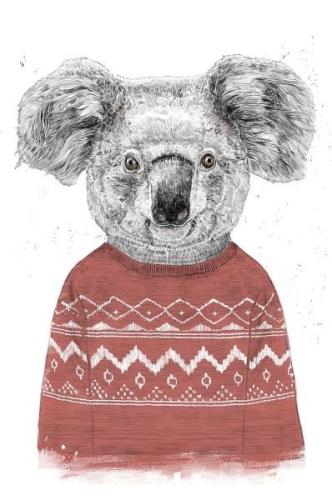 Pelcasa - Poster Winter Koala (Red) - Vit - Posters - Från Homeroom