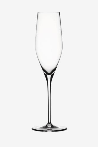 Spiegelau - Champagneglas Authentis 19 cl, 4-pack - Transparent - Ving...