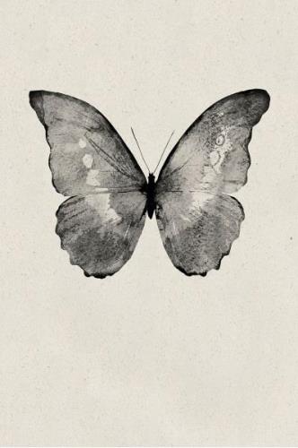 Malerifabrikken - Poster Black Butterfly - Beige - Posters - Från Home...