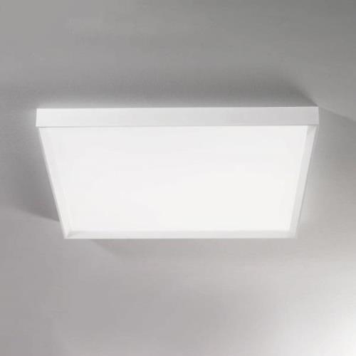 Linea Light LED-taklampa Tara maxi, 74 cm x 74 cm