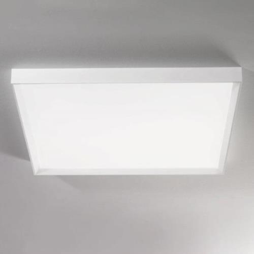 Linea Light LED-taklampa Tara mega, 89 cm x 89 cm