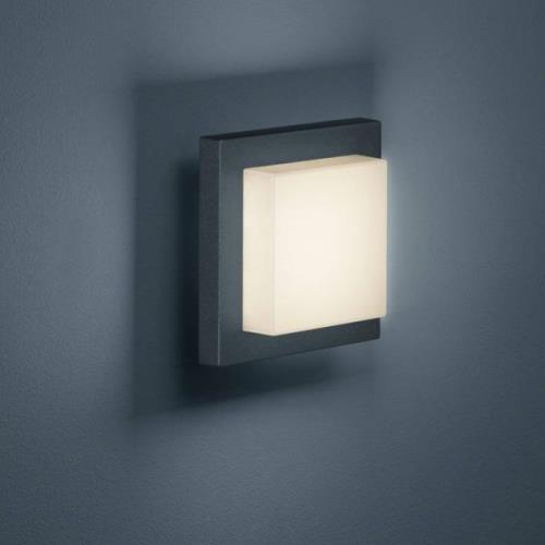 Trio Lighting LED-utomhusvägglampa Hondo, antracit