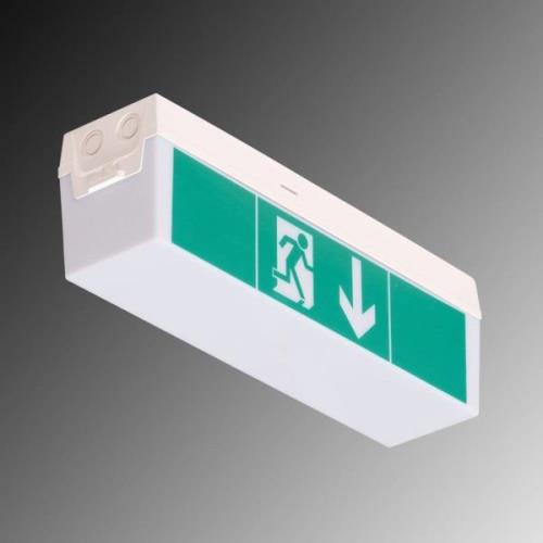 B-Safety LED-nödljus C-Lux Standard, ett batteri