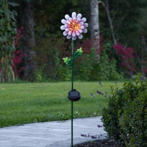 STAR TRADING LED-solcellslampa Pink Daisy i blomform