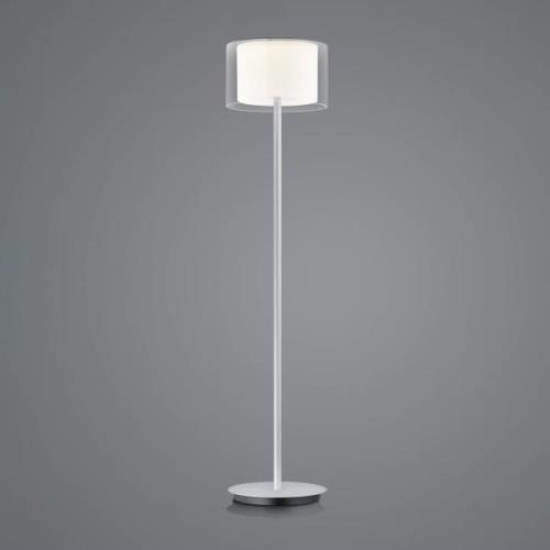 BANKAMP Grand Clear LED-golvlampa