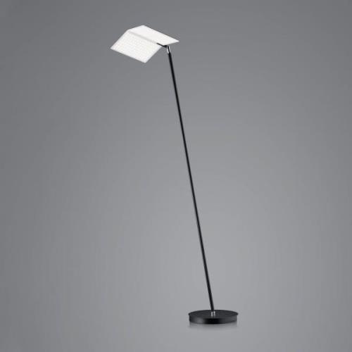 BANKAMP Book 2.0 LED-golvlampa, ZigBee, svart