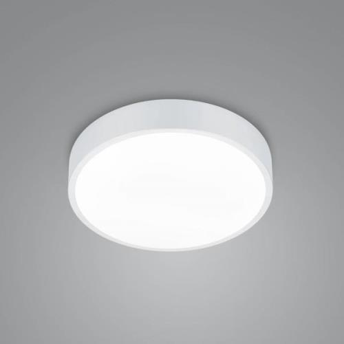 Trio Lighting LED-taklampa Waco, CCT, Ø 31cm, matt vit