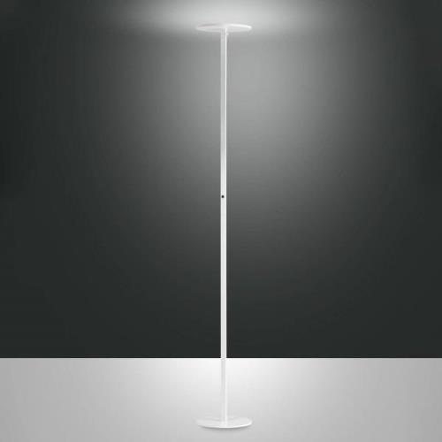 Fabas Luce Regina LED-golvlampa, vit, CCT, dimbar, höjd 180 cm