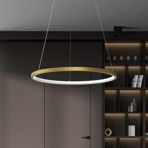 Eko-Light Rotonda LED-pendellampa, plast, guld, enkel belysning, 27 W