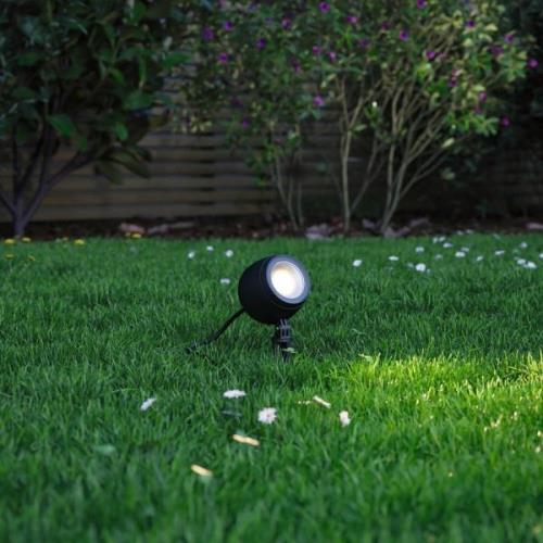 Paulmann Kikolo LED markspik spotlight 8W 3 000K 20°