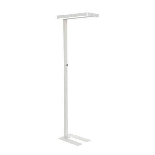 LED-golvlampa MAULjaval, vit, bas