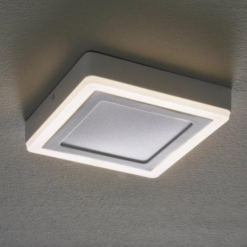 LEDVANCE LED Click White Square 20 cm taklampa