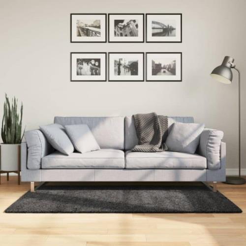 vidaXL Ryamatta PAMPLONA lång lugg modern antracit 120x170 cm