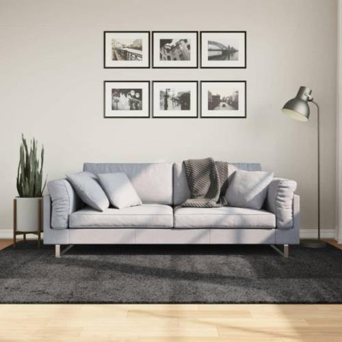 vidaXL Ryamatta PAMPLONA lång lugg modern antracit 160x230 cm