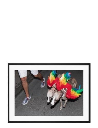 Poster Rainbow Dogs Home Decoration Posters & Frames Posters Photograp...