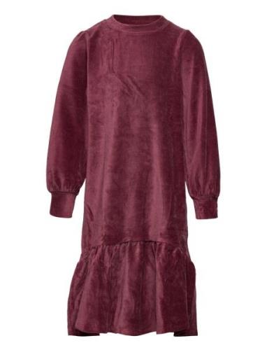 Soft Gallery Sgkayla Velvet Rib Dress Burgundy