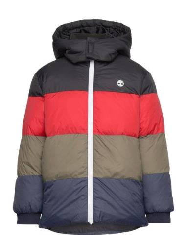 Timberland Puffer Jacket Multi/patterned