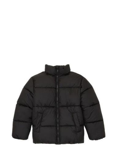 Tom Tailor Puffer Winter Jacket Svart