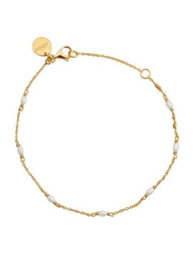 Syster P Treasure Multi Pearl Bracelet Guld