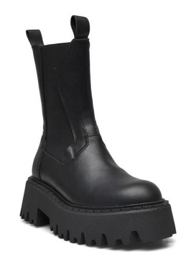 Steve Madden Obtain Bootie Svart