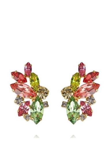 Caroline Svedbom Havanna Earrings Gold Multi/patterned