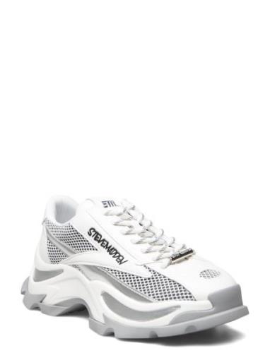 Steve Madden Zoomz Sneaker Vit