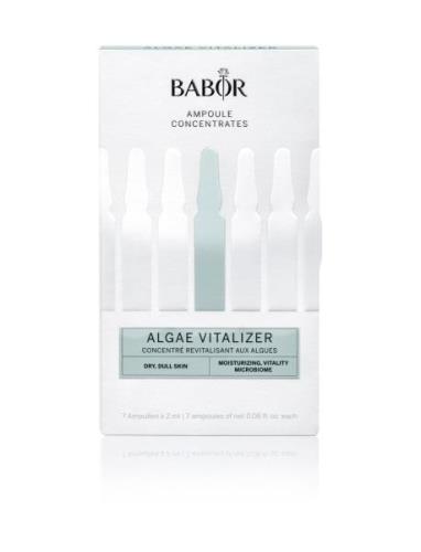 Babor Algae Vitalizer Nude