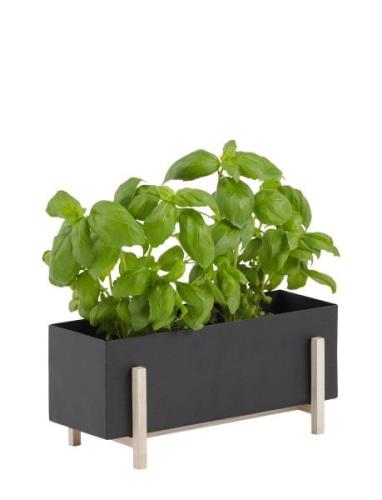 Design House Stockholm Botanic Herb Box Svart