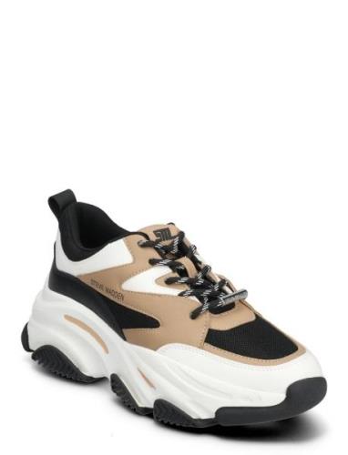 Steve Madden Progressive Sneaker Svart