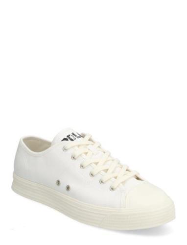 Polo Ralph Lauren Armin Canvas Low-Top Sneaker Vit