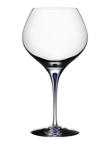 Intermezzo Blue Bouquet 70Cl Home Tableware Glass Wine Glass Red Wine ...