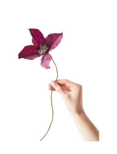 Paper Flower, Clematis Home Decoration Paper Flowers Purple Studio Abo...