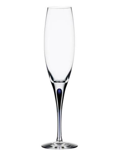 Orrefors Intermezzo Blue Champagne 26Cl Nude