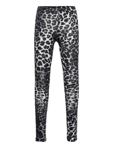 The New Paleo Leggings Noos Grå