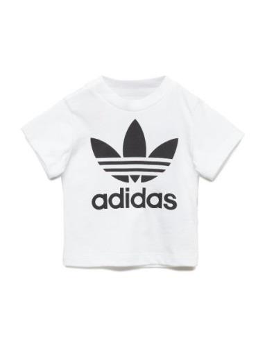 Adidas Originals Trefoil Tee Vit