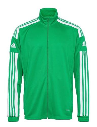 Adidas Performance Squadra21 Training Jacket Grön