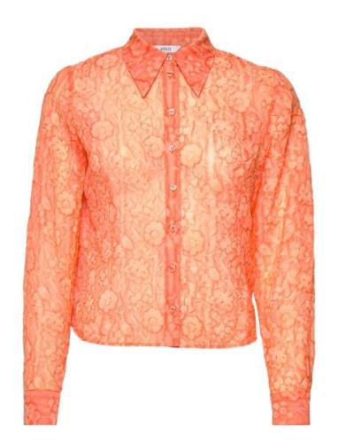 Envii Enalpha Ls Shirt 6935 Orange