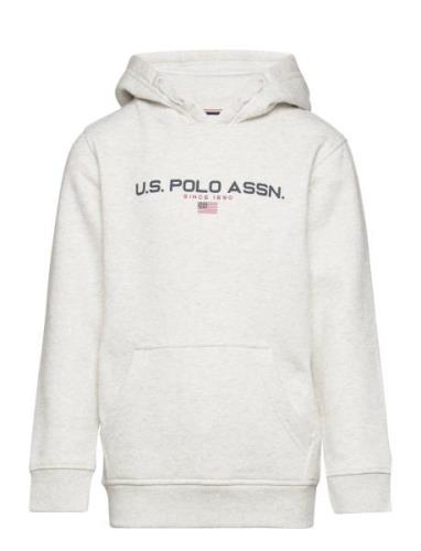 U.S. Polo Assn. Sport Oth Bb Hoodie Grå