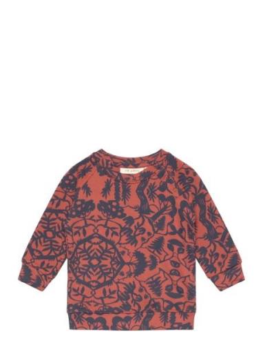 Soft Gallery Sgbalexi Papertree L_S Sweatshirt Hl Orange