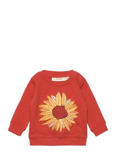 Soft Gallery Sgbbuzz Sunflower Sweatshirt Orange