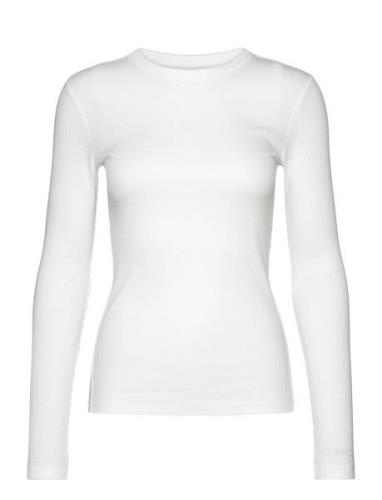 Calvin Klein Cotton Rib Ls T-Shirt Vit